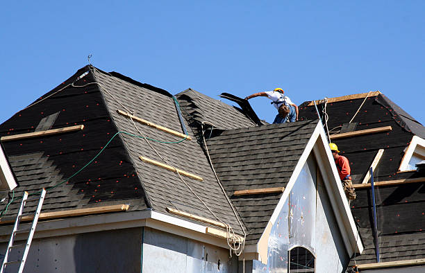Best Metal Roofing Contractor  in Lincolnia, VA