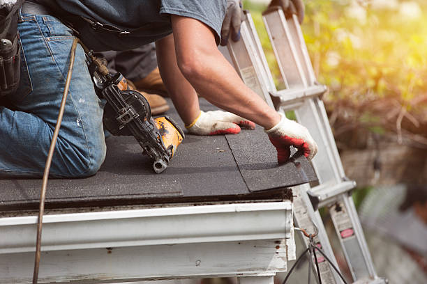 Best Roof Gutter Cleaning  in Lincolnia, VA